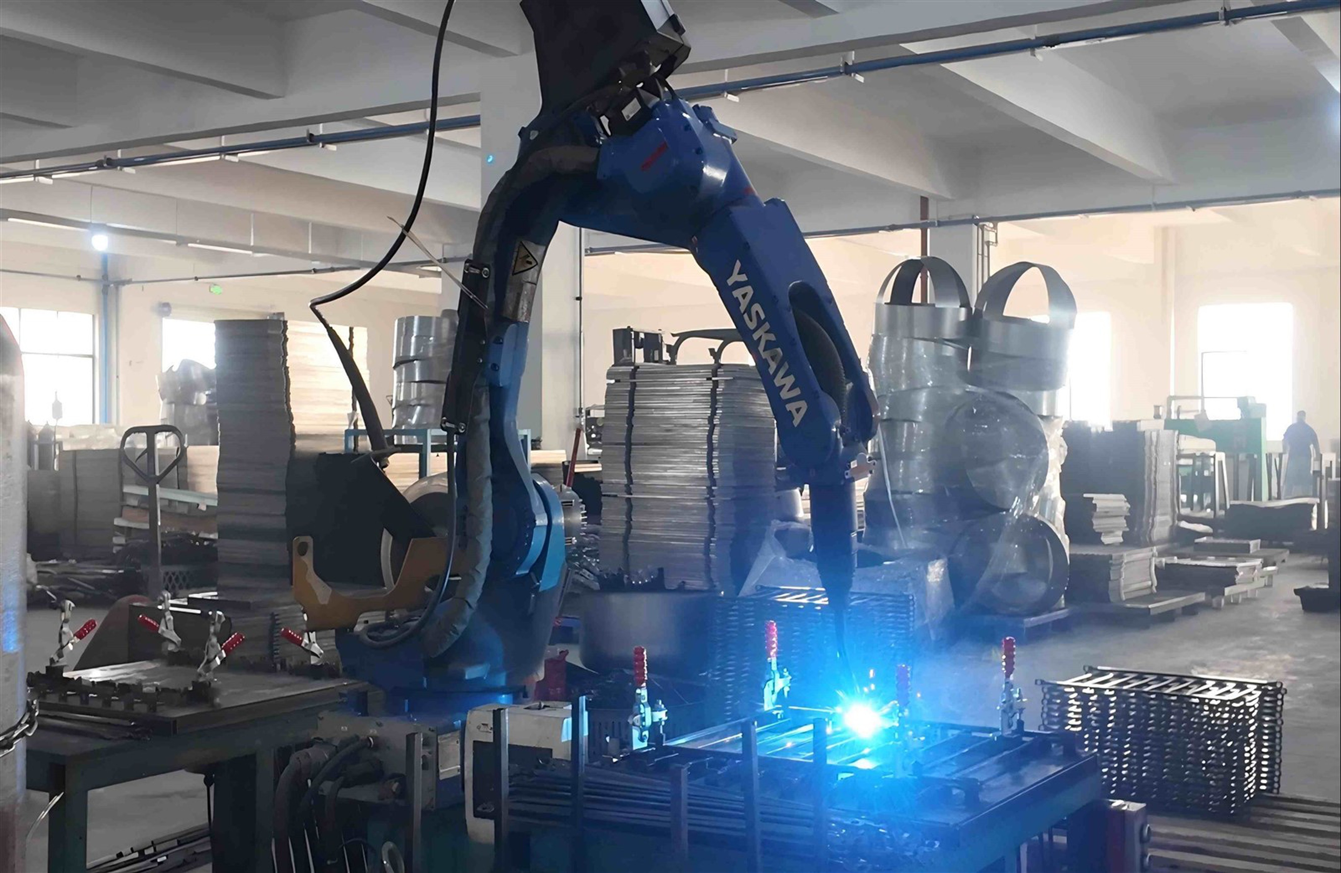 Blue Carp Group Blue Carp Group